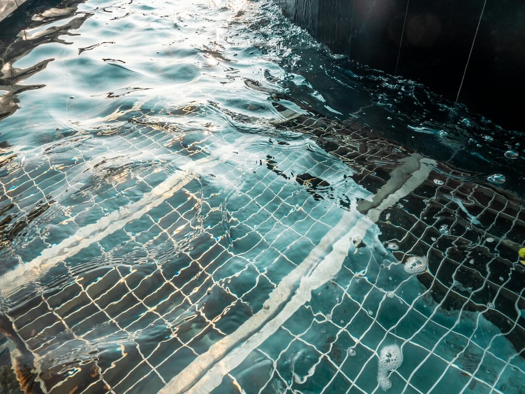 When to Call a Professional Pool Motor Technician in Avalon Harbor Image